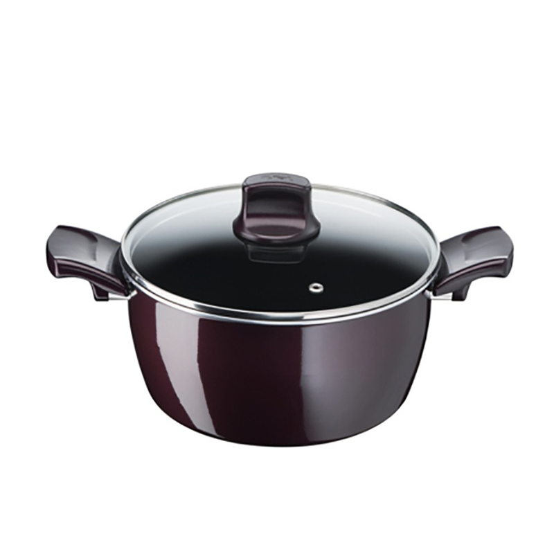 Tefal Resist Intense - Stewpot 22-30 cm Easy to Clean Stew Pot with Glass Lid
