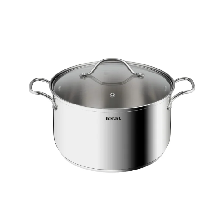 Tefal Intuition G6 SS XL Induction Stockpot 26-32 cm with Glass lid, Premium Stainless steel
