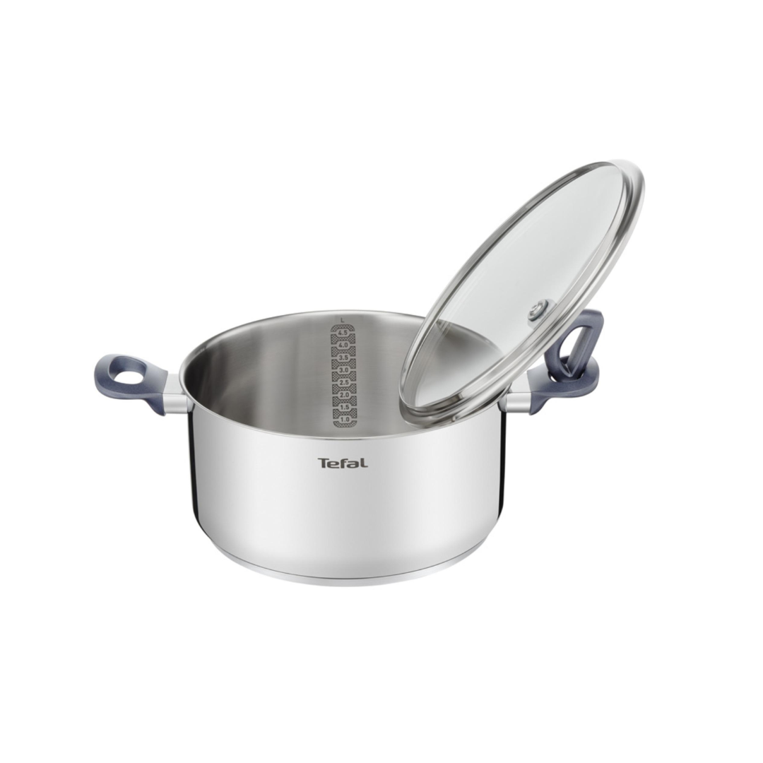 Tefal Daily Cook G6 Stainless Steel Cooking Pot 20-24 cm with Lid